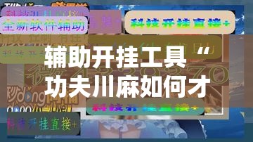 辅助开挂工具“功夫川麻如何才赢”详细分享装挂步骤