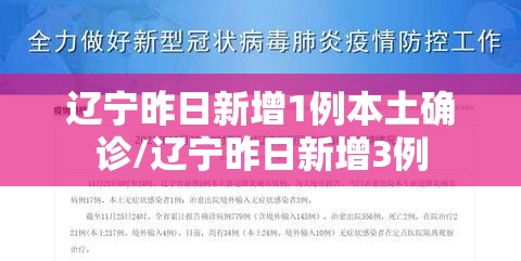 辽宁昨日新增1例本土确诊/辽宁昨日新增3例