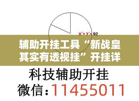 辅助开挂工具“新战皇其实有透视挂	”开挂详细教程