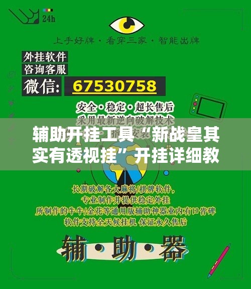 辅助开挂工具“新战皇其实有透视挂”开挂详细教程