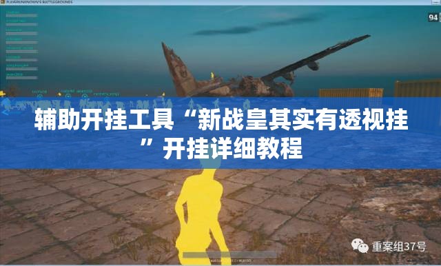 辅助开挂工具“新战皇其实有透视挂”开挂详细教程