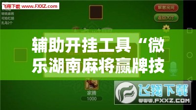 辅助开挂工具“微乐湖南麻将赢牌技巧	”细辅助教程分享