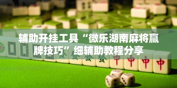 辅助开挂工具“微乐湖南麻将赢牌技巧”细辅助教程分享