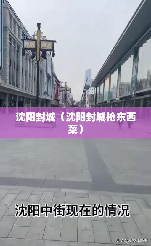 沈阳封城(沈阳封城抢东西菜) 沈阳封城(沈阳封城抢东西菜)