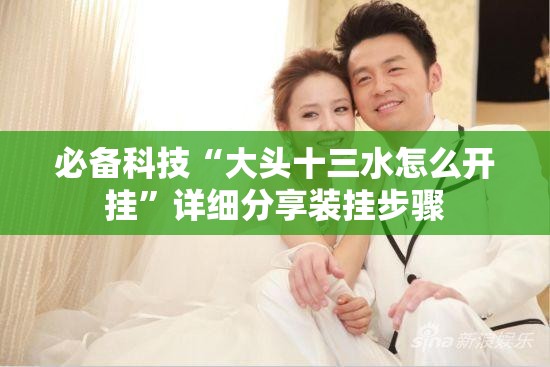 必备科技“大头十三水怎么开挂”详细分享装挂步骤