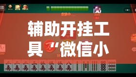 辅助开挂工具“微信小程序微乐捉鸡麻将开挂辅助器通用版	”原来可以开挂