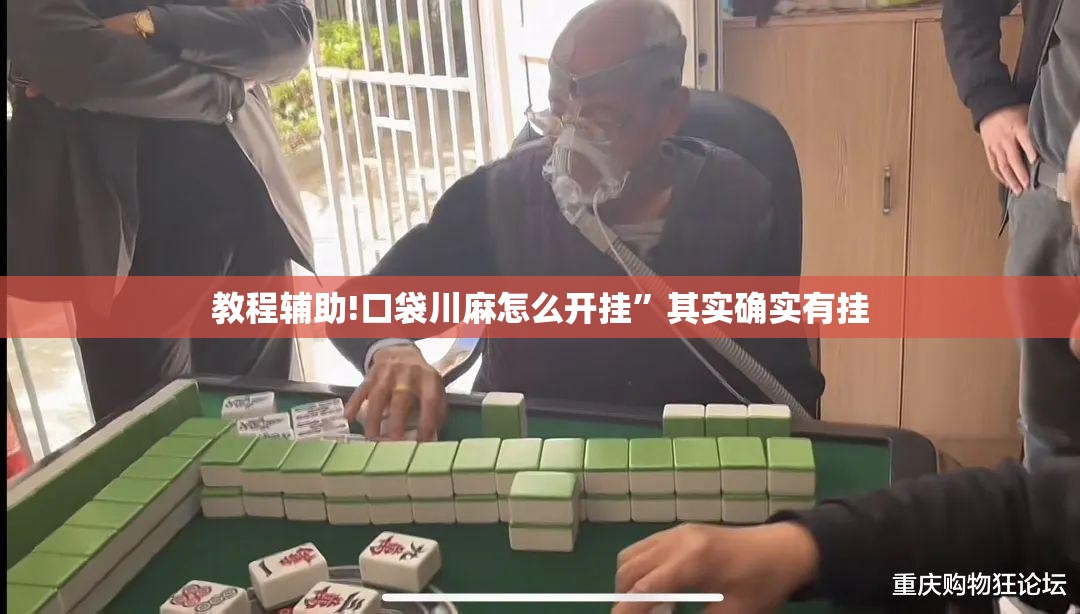 教程辅助!口袋川麻怎么开挂”其实确实有挂