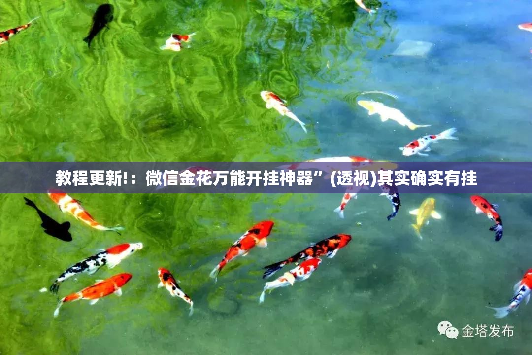 教程更新!：微信金花万能开挂神器”(透视)其实确实有挂