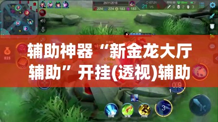 辅助神器“新金龙大厅辅助”开挂(透视)辅助神器