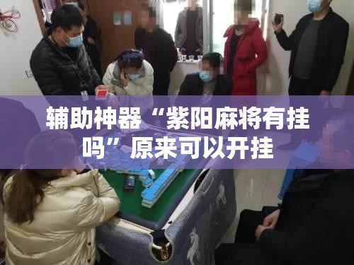 辅助神器“紫阳麻将有挂吗”原来可以开挂
