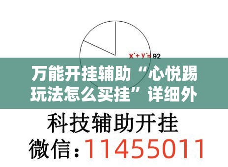 万能开挂辅助“心悦踢玩法怎么买挂”详细外挂透视辅助软件教程