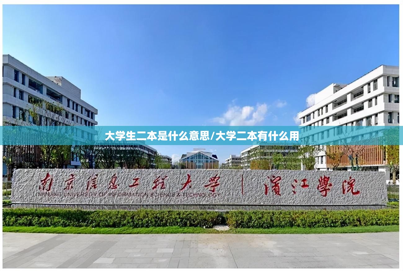大学生二本是什么意思/大学二本有什么用
