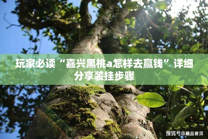 玩家必读“嘉兴黑桃a怎样去赢钱”详细分享装挂步骤