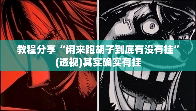 教程分享“闲来跑胡子到底有没有挂	”(透视)其实确实有挂