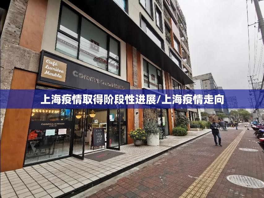 上海疫情取得阶段性进展/上海疫情走向