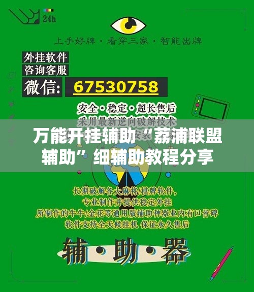 万能开挂辅助“荔浦联盟辅助”细辅助教程分享