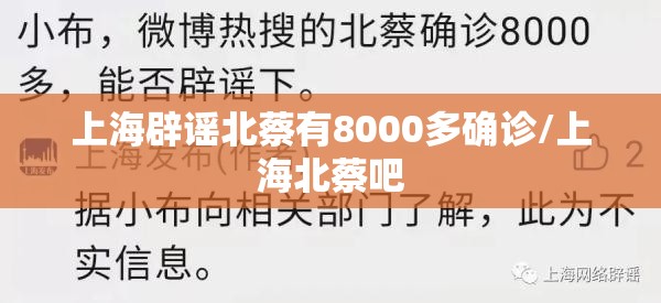 上海辟谣北蔡有8000多确诊/上海北蔡吧
