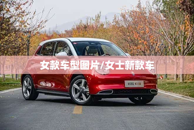 女款车型图片/女士新款车 女款车型图片/女士新款车