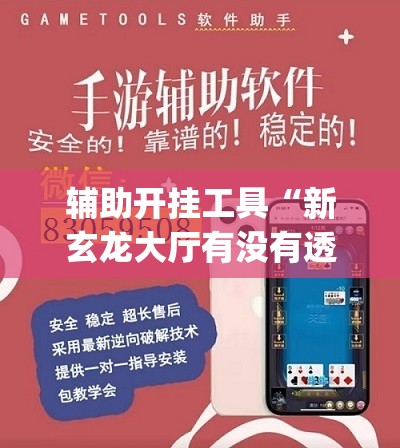 辅助开挂工具“新玄龙大厅有没有透视挂”(透视挂)辅助下载教程