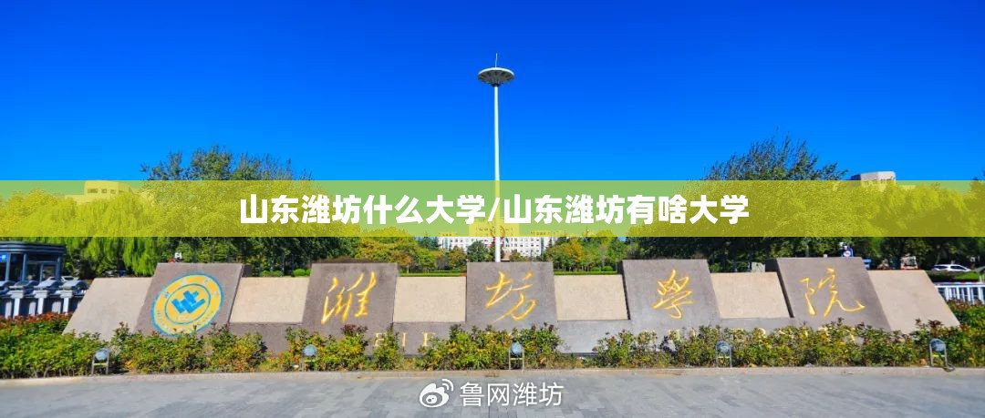 山东潍坊什么大学/山东潍坊有啥大学