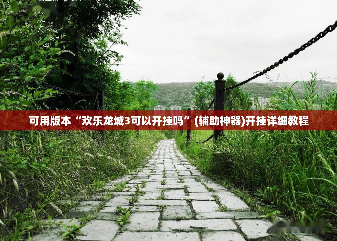 可用版本“欢乐龙城3可以开挂吗”(辅助神器)开挂详细教程