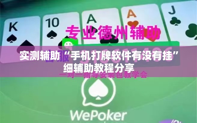 实测辅助“手机打牌软件有没有挂”细辅助教程分享