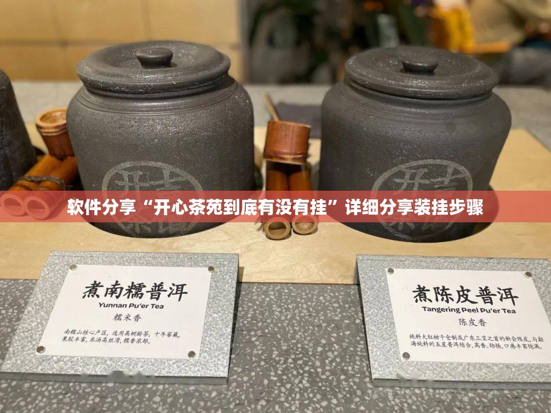 软件分享“开心茶苑到底有没有挂	”详细分享装挂步骤
