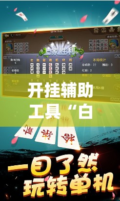 开挂辅助工具“白金岛跑胡子辅助软件(透视)	”开挂辅助脚本+详细开挂安装教程