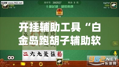 开挂辅助工具“白金岛跑胡子辅助软件(透视)”开挂辅助脚本+详细开挂安装教程
