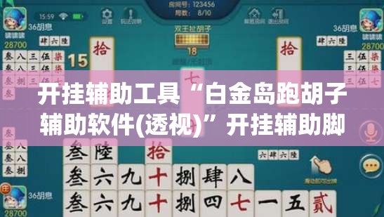 开挂辅助工具“白金岛跑胡子辅助软件(透视)”开挂辅助脚本+详细开挂安装教程