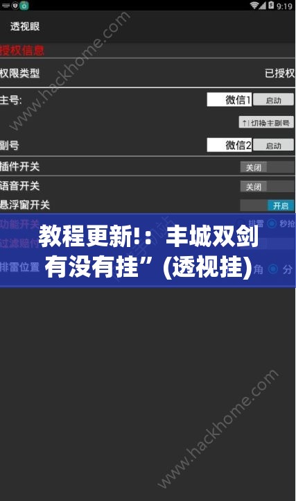 教程更新!：丰城双剑有没有挂”(透视挂)辅助下载教程