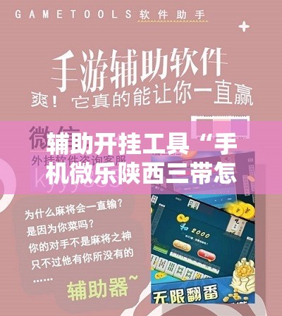 辅助开挂工具“手机微乐陕西三带怎么开挂”详细开挂教程