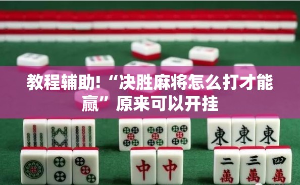 教程辅助!“决胜麻将怎么打才能赢”原来可以开挂
