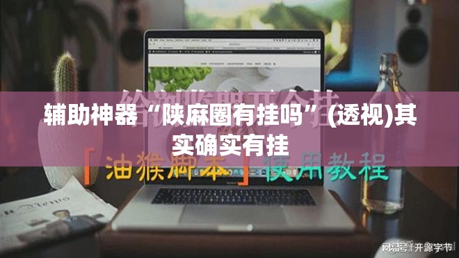 辅助神器“陕麻圈有挂吗”(透视)其实确实有挂
