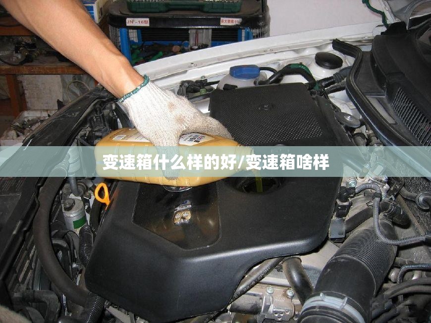 变速箱什么样的好/变速箱啥样 变速箱什么样的好/变速箱啥样