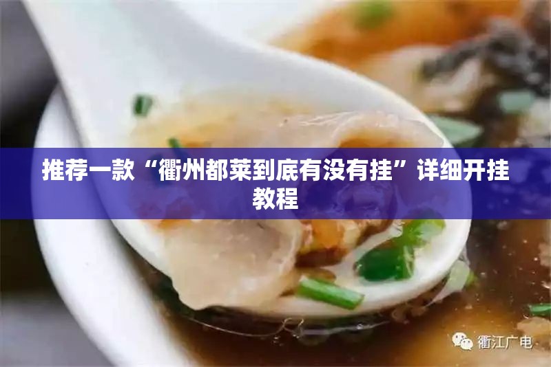 推荐一款“衢州都莱到底有没有挂”详细开挂教程
