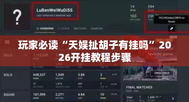 玩家必读“天娱扯胡子有挂吗”2026开挂教程步骤