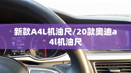 新款A4L机油尺/20款奥迪a4l机油尺 新款A4L机油尺/20款奥迪a4l机油尺
