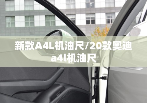 新款A4L机油尺/20款奥迪a4l机油尺 新款A4L机油尺/20款奥迪a4l机油尺