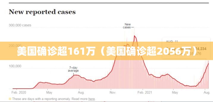 美国确诊超161万(美国确诊超2056万) 美国确诊超161万(美国确诊超2056万)