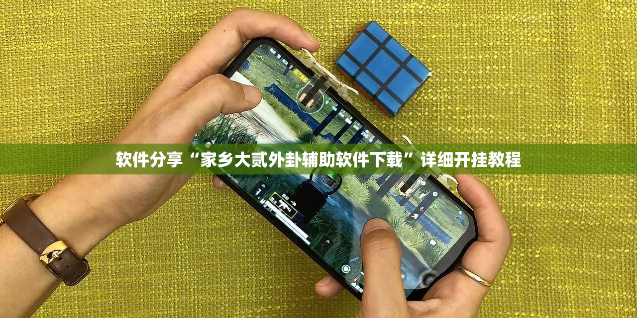 软件分享“家乡大贰外卦辅助软件下载”详细开挂教程