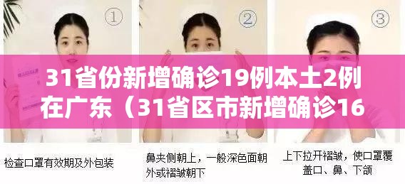 31省份新增确诊19例本土2例在广东(31省区市新增确诊16例广) 31省份新增确诊19例本土2例在广东(31省区市新增确诊16例广)