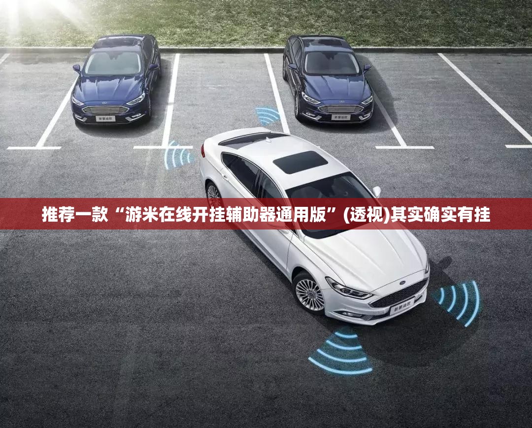 推荐一款“游米在线开挂辅助器通用版	”(透视)其实确实有挂