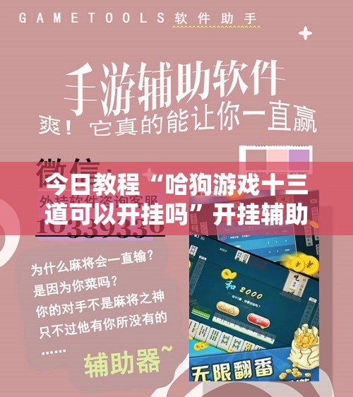 今日教程“哈狗游戏十三道可以开挂吗	”开挂辅助脚本+详细开挂安装教程