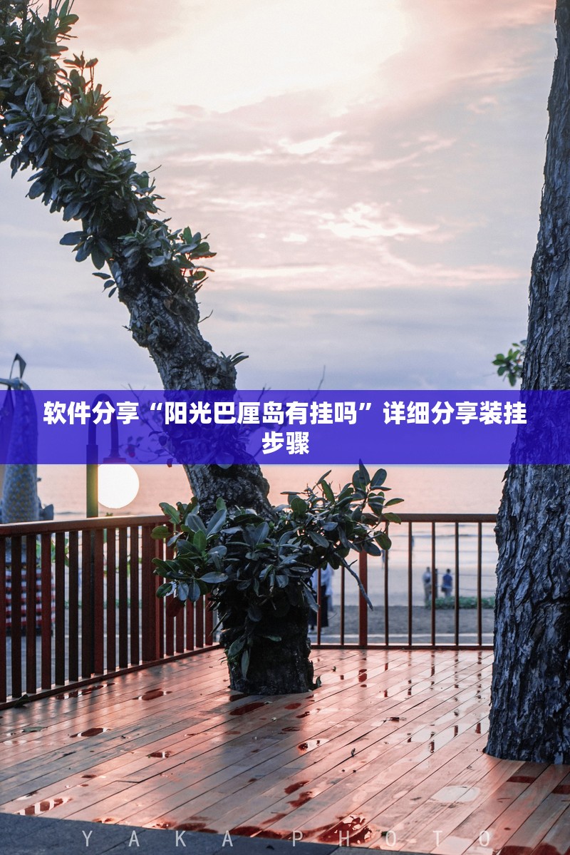软件分享“阳光巴厘岛有挂吗	”详细分享装挂步骤