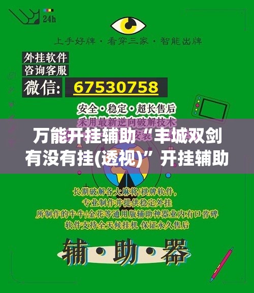 万能开挂辅助“丰城双剑有没有挂(透视)”开挂辅助脚本+详细开挂安装教程