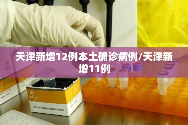 天津新增12例本土确诊病例/天津新增11例 天津新增12例本土确诊病例/天津新增11例