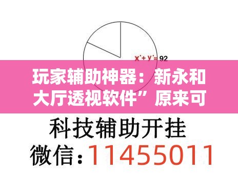 玩家辅助神器：新永和大厅透视软件”原来可以开挂