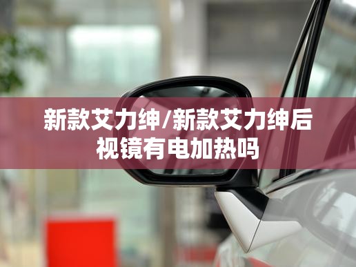 新款艾力绅/新款艾力绅后视镜有电加热吗 新款艾力绅/新款艾力绅后视镜有电加热吗