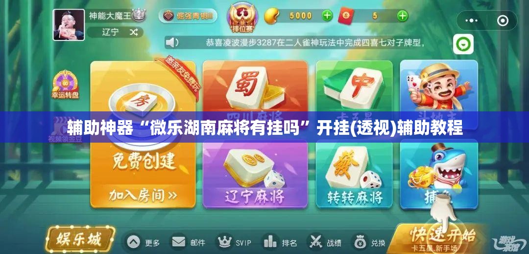 辅助神器“微乐湖南麻将有挂吗	”开挂(透视)辅助教程